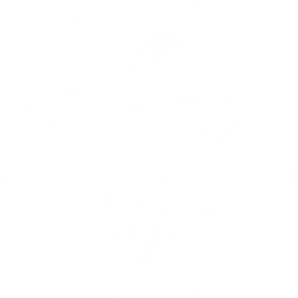Logo Dr. Vicente Mosquera
